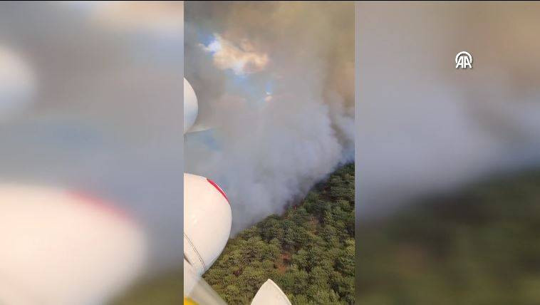 Aydın’ın Çine ilçesinde orman yangını - Resim: 6